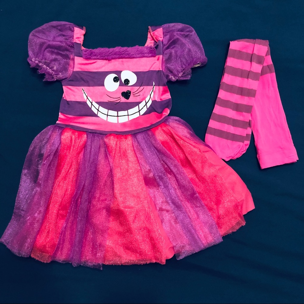 Cheshire Cat Costume (4T)